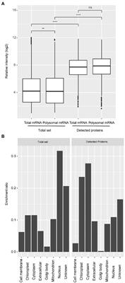 Delayed Protein Changes During Seed Germination